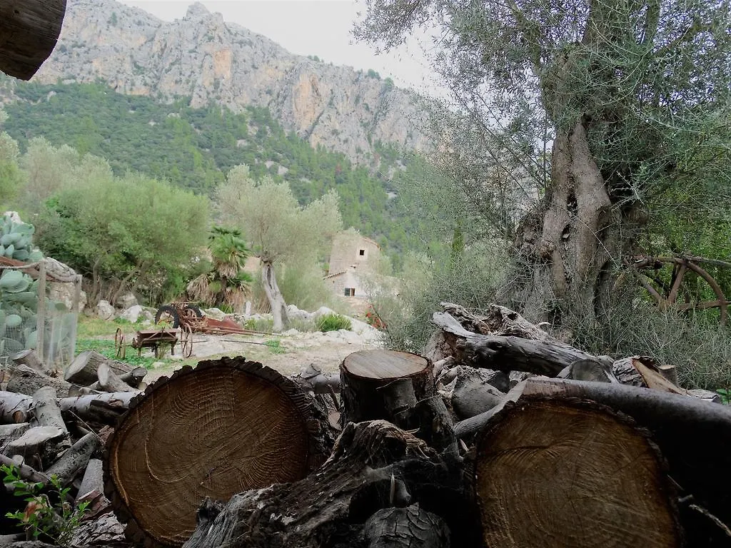 Agroturismo Balitx D'Avall Guest House Fornalutx